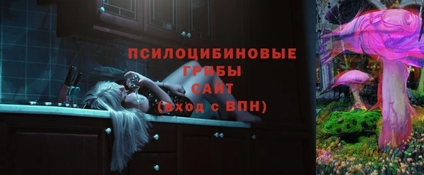 дживик Карпинск