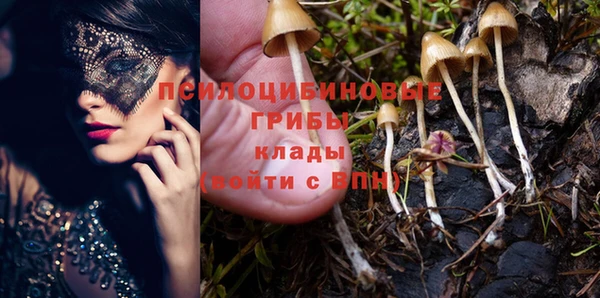 дживик Карпинск