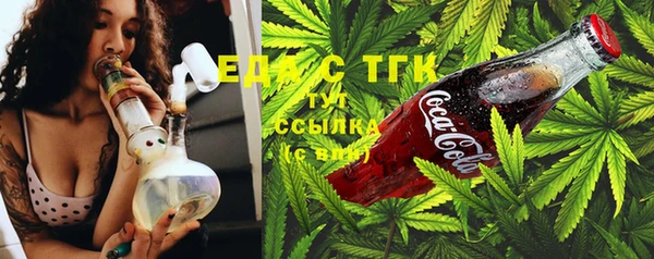 тгк Касимов
